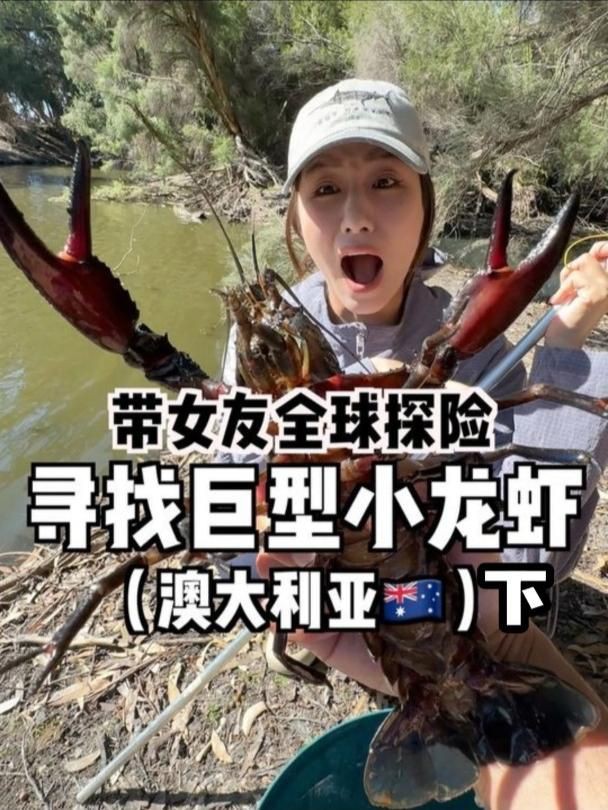 巨型龍蝦 龍魚百科 第2張 巨型龍蝦 巨型龍蝦 龍魚百科 第2張