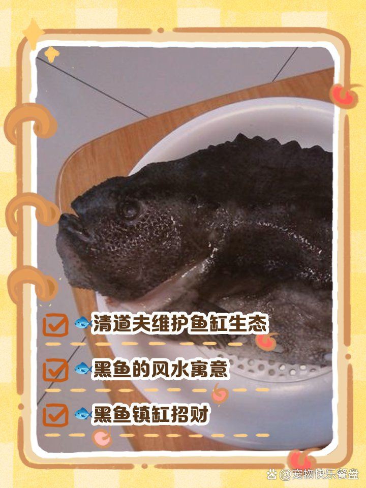 風水學中黑煞魚如何化解？
