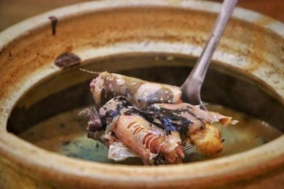 土龍魚是揚子鱷或稱作鼉(學名:alligatorsinensis)：土龍魚是揚子鱷或稱作鼉(學名:alligatorsinensis