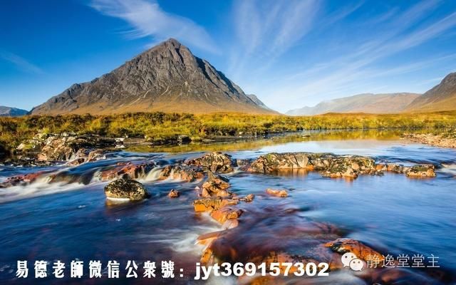 養金龍魚10大忌（養金龍魚的十大忌諱）