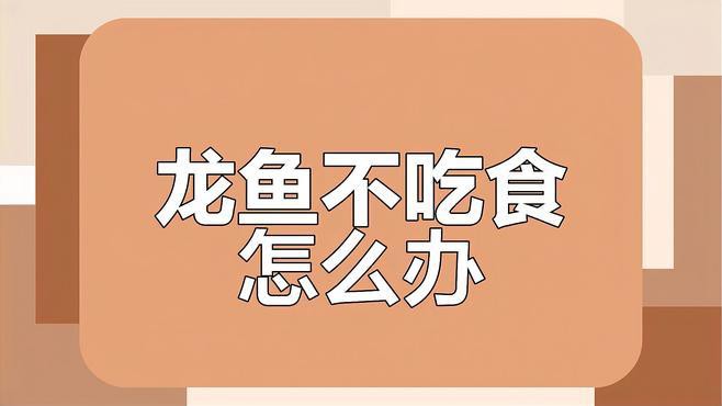 金龍魚不吃東西有哪些原因？