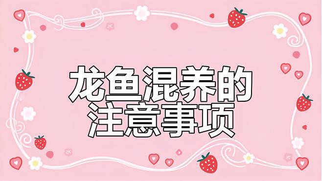 如何降低龍魚混養的風險