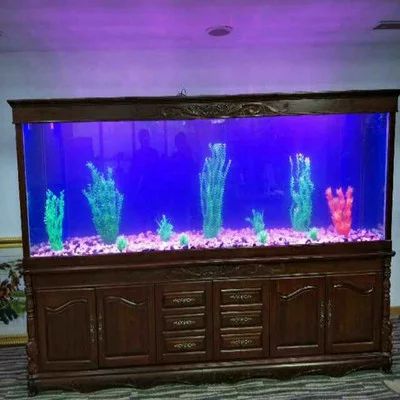 龍魚燈光譜：正確的龍魚燈光譜對于龍魚的發色和成長有著重要的作用 龍魚燈光譜：正確的龍魚燈光譜對于龍魚的發色和成長有著重要的作用 龍魚百科 第3張