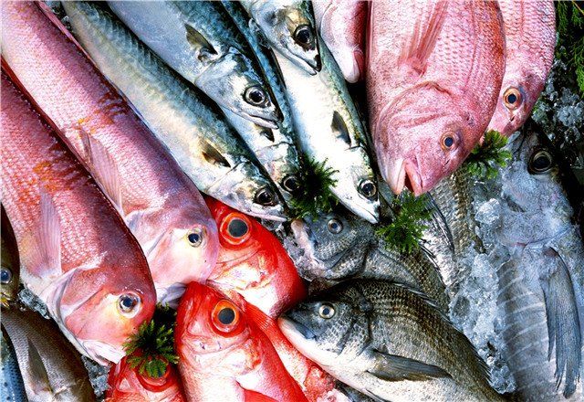 金龍魚多大就不會掉眼了呀視頻：金龍魚多大就不會掉眼了呀？