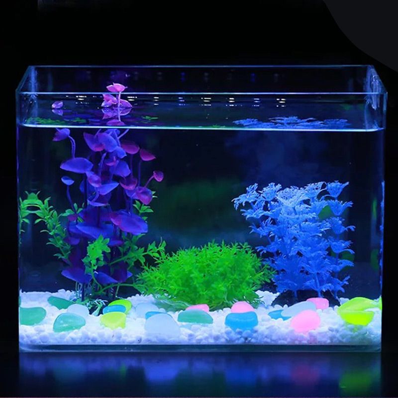 魚缸裝飾品制作方法（魚缸裝飾及制作方法）