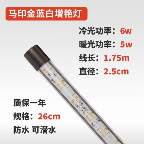 藍底金龍魚用什么燈好看些呢