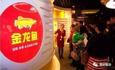 龍魚靠什么辨別食物類型，