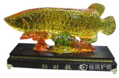 養龍魚魚缸擺放什么位置合適風水好：養龍魚魚缸擺放什么位置合適