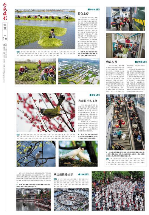 法新社紅龍之眼壁紙高清版