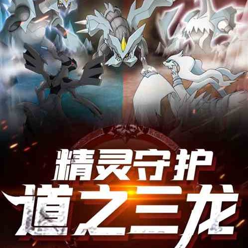 能提供更多道之三龍的高清壁紙嗎？