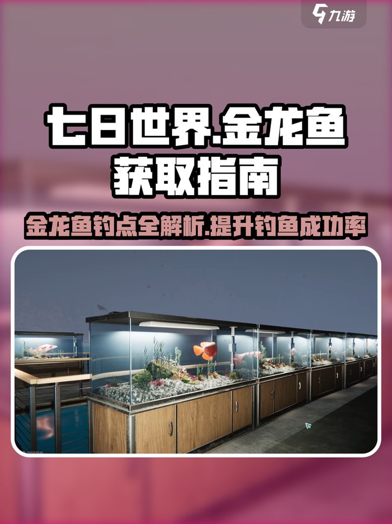 主機(jī)游戲大b哥還有哪些金龍魚視頻？