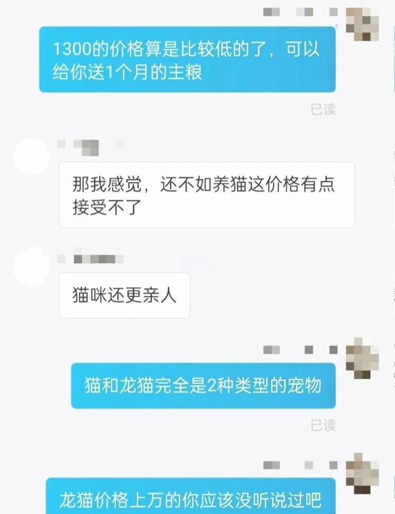 龍貓和貓咪哪個更獨立？
