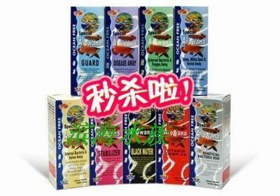 養龍魚必備藥劑是什么：養龍魚必備的一些藥劑及其使用注意事項