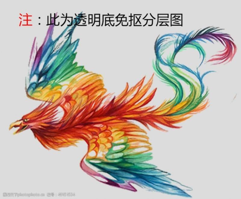 古龙有哪些彩色照片？