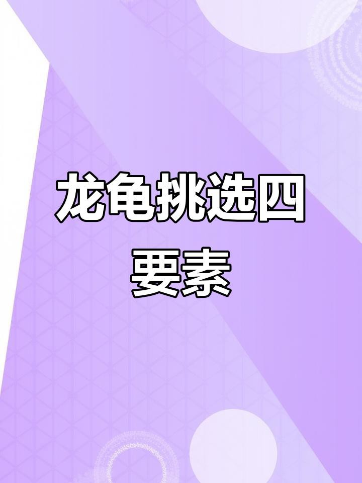 如何辨別龍龜圖片的真偽？