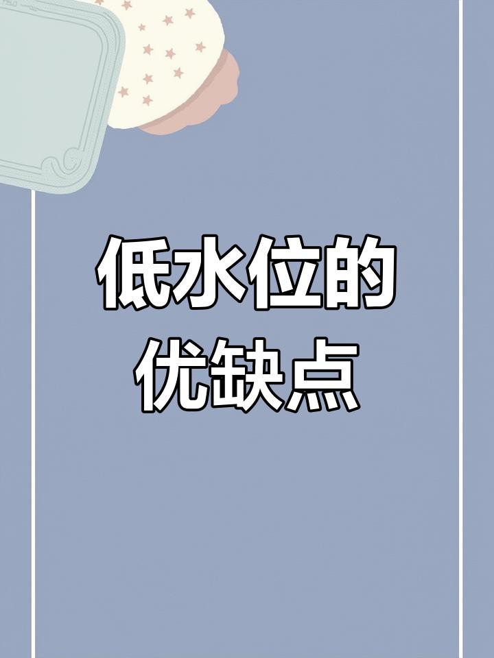 如何設置低水位養龍魚的環境？