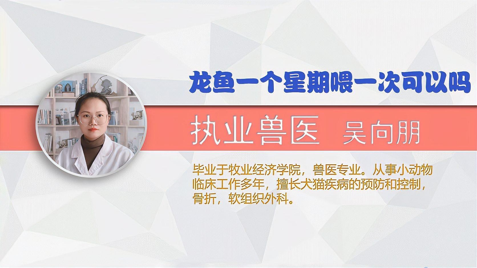龍魚多久喂一次食合適？ 龍魚多久喂一次食合適？ 龍魚百科 第1張