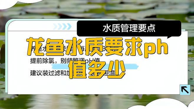 藍背龍魚需要什么樣的水質？