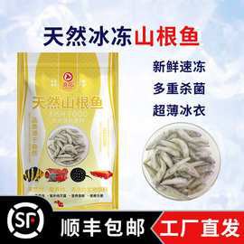 深圳龍魚批發在哪里進貨的