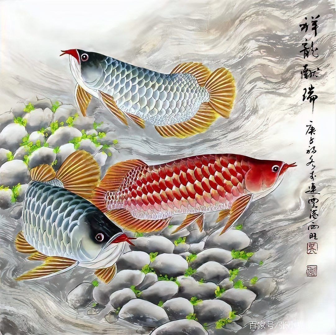 金龍魚最經典十幅畫