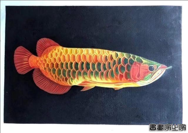 金龍魚最經典十幅畫