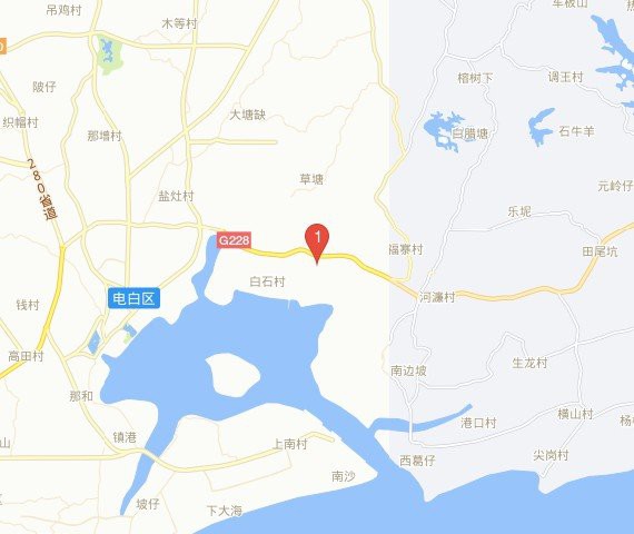 茂名那里賣龍魚的市場