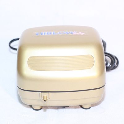 龍魚的缸里需要使用氧氣泵嗎？：龍魚的缸里用不用打氧氣泵，