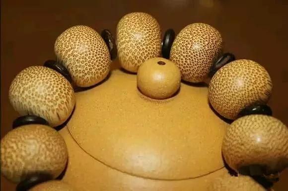 龍魚是什么動物的卵：關于龍魚卵的一些詳細信息