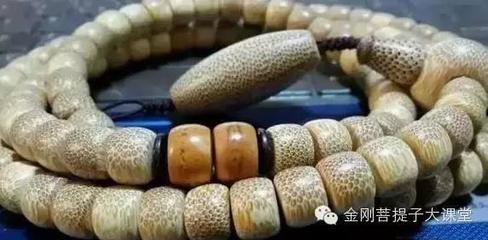 龍魚是什么動物的卵：關于龍魚卵的一些詳細信息