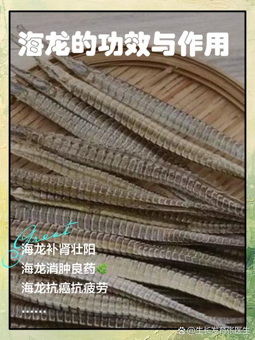 淡水海龍魚的圖片大全大圖