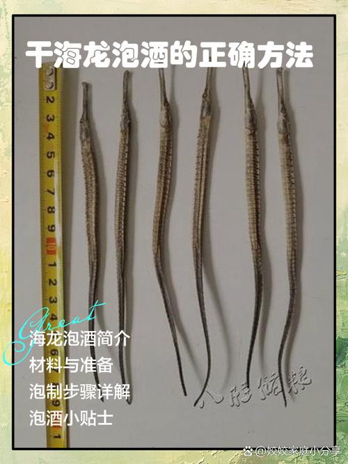 淡水海龍魚的圖片大全大圖
