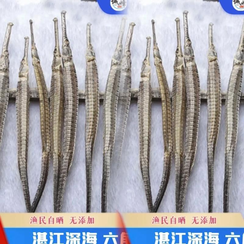 淡水海龍魚的圖片大全大圖