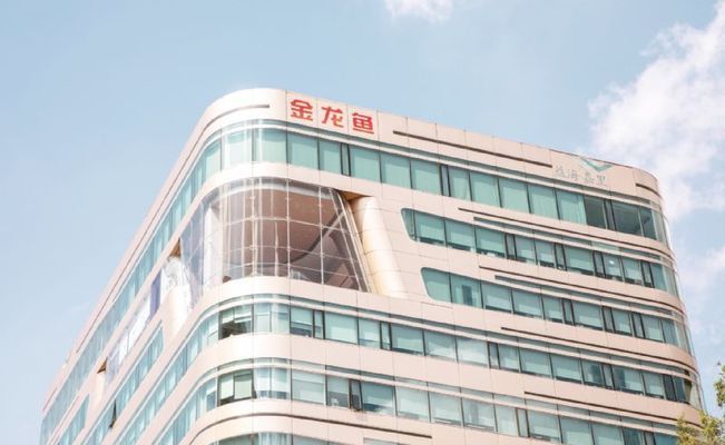 金龍魚之富橋（金龍魚市值暴跌原因探究）