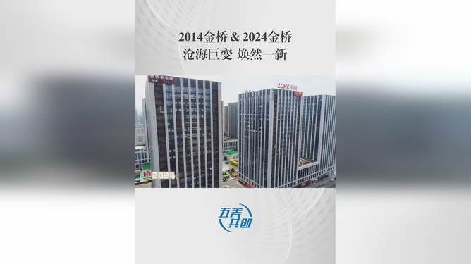 金龍魚之富橋（金龍魚市值暴跌原因探究）