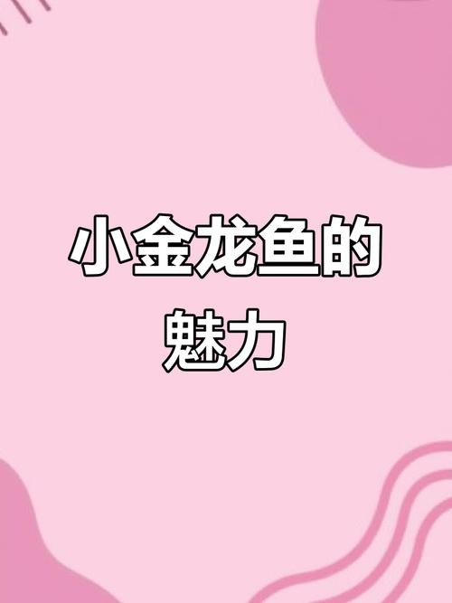 馬來西亞龍魚和新加坡龍魚的區別圖片大全
