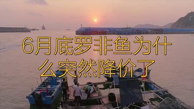 羅非魚跌破3元斤