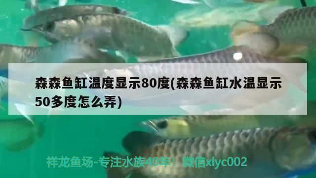 森森魚缸顯示屏溫度顯示80多度（如何校準魚缸溫度顯示屏魚缸加熱棒故障常見原因）