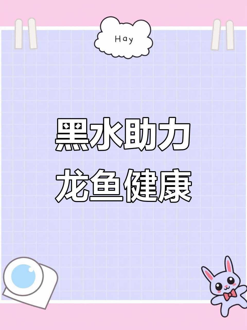 怎樣改善黑鱗龍魚的水質？