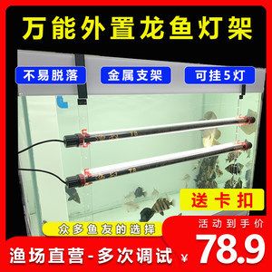 紅龍魚烤色燈安裝位置：紅龍魚烤色燈安裝位置是養魚過程中的一個重要環節