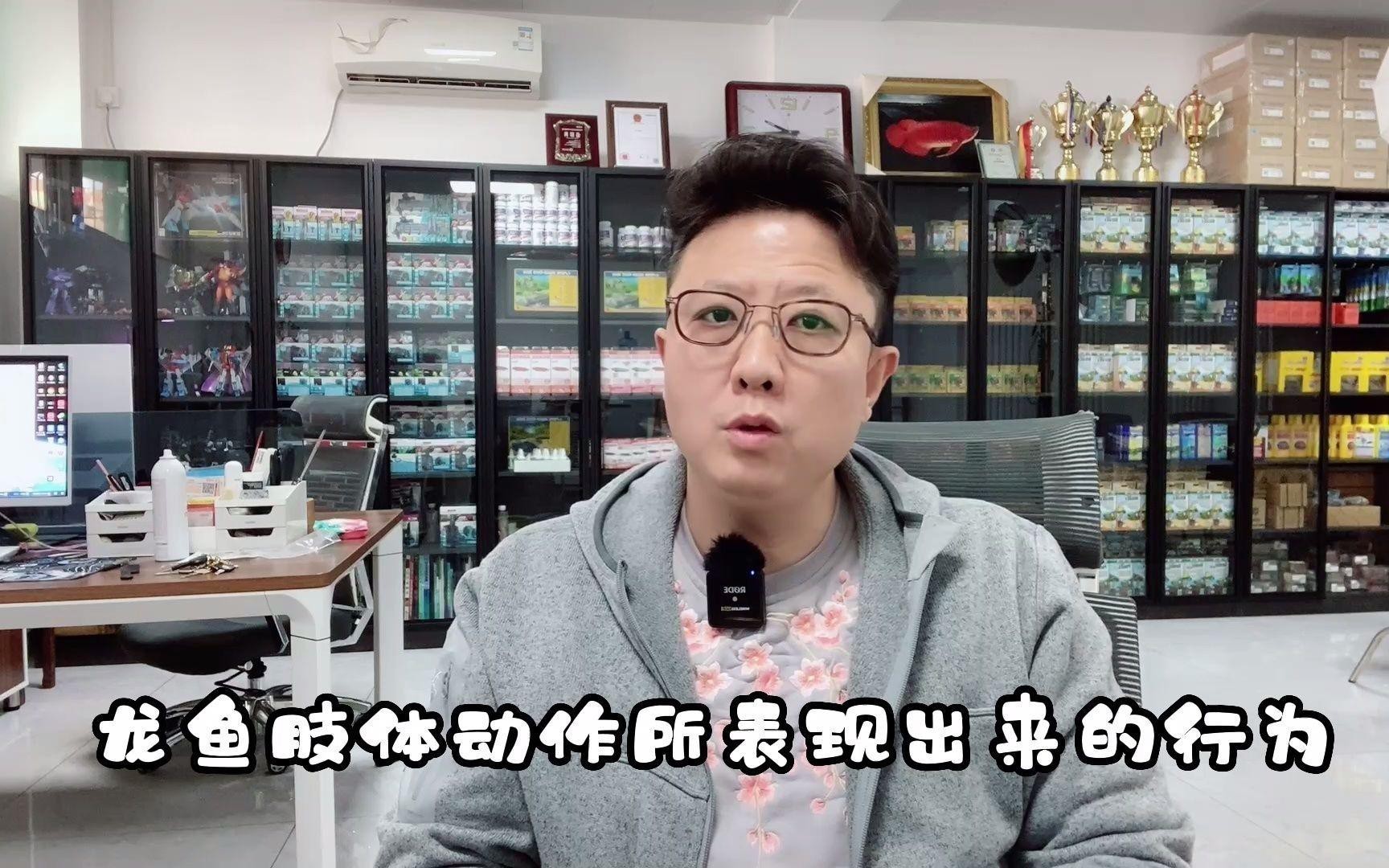 如何判断古典金龙七鳍是否健康？
