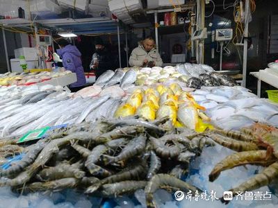 濟南哪有賣龍魚的地方【濟南賣龍魚的地方】