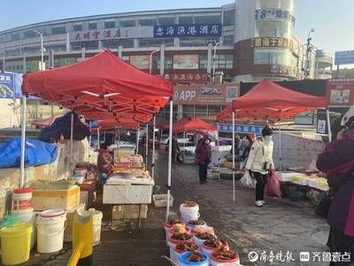 濟南哪有賣龍魚的地方【濟南賣龍魚的地方】