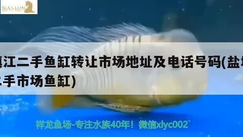 鎮(zhèn)江二手魚缸轉(zhuǎn)讓市場地址及電話號(hào)碼(鹽城二手市場魚缸)