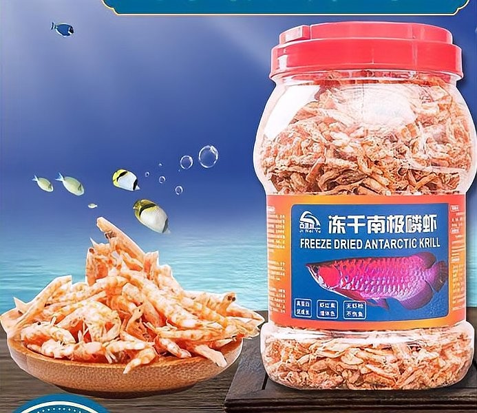 雷龍魚吃什么長得好一點