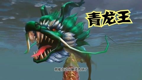 王龍魚的視頻（關(guān)于“王龍魚”的視頻）