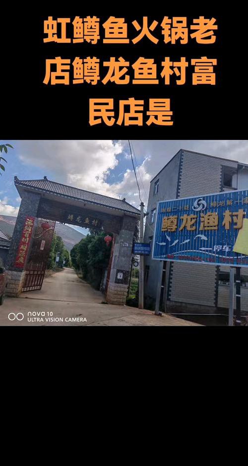 昆明龍魚市場(chǎng)