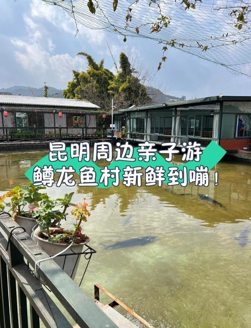 昆明龍魚市場(chǎng)