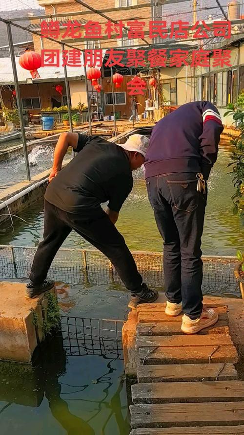 昆明龍魚市場(chǎng)