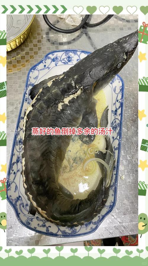 清蒸鱘龍魚圖片真實