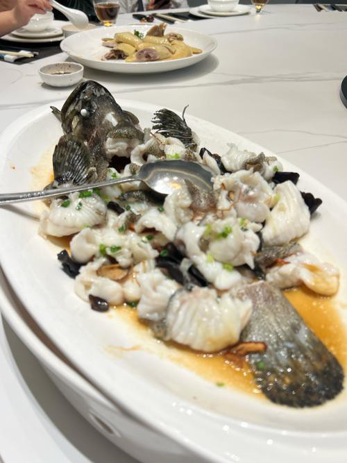 清蒸鱘龍魚圖片真實